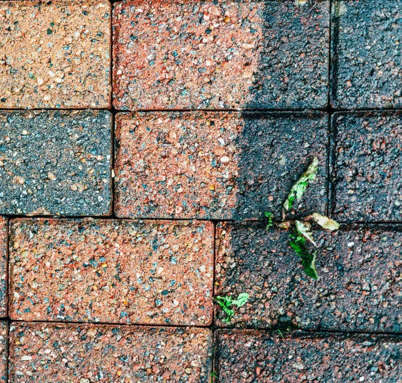 Restoring Your Outdoor Spaces