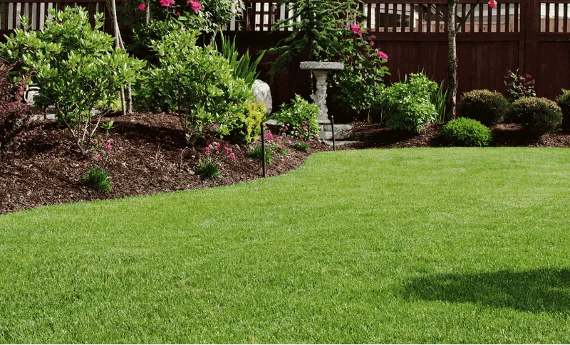 Clean and refreshed lawn serviced