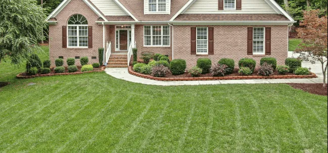 Lawn Maintenance & Cleanup Services