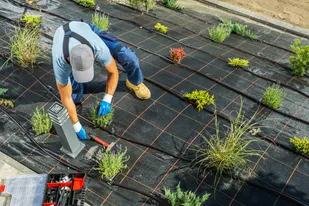 Irrigation Repair & Maintenance: Fast Fixes You Can Count On