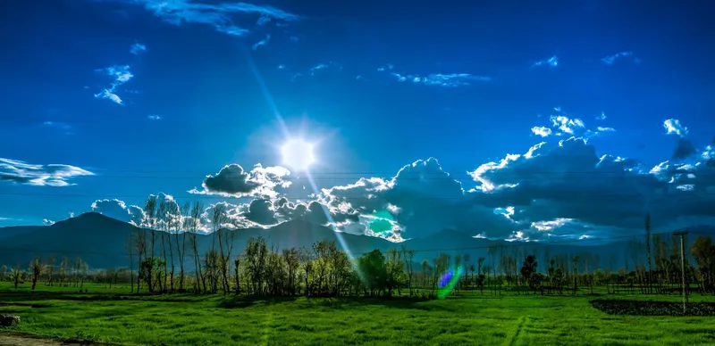 Local Knowledge: Adapting to East Tennessee's Climate