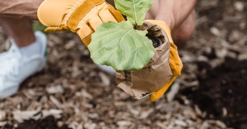 Sustainable Practices: Caring for the Environment
