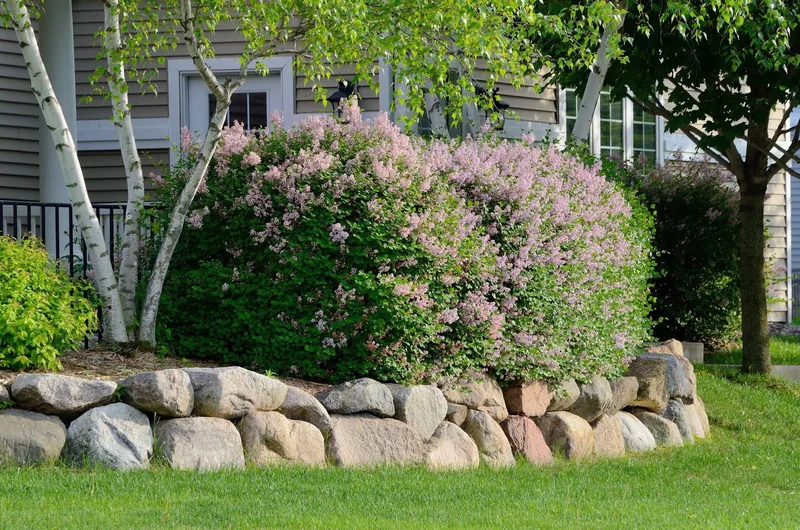 boulder retaining wal