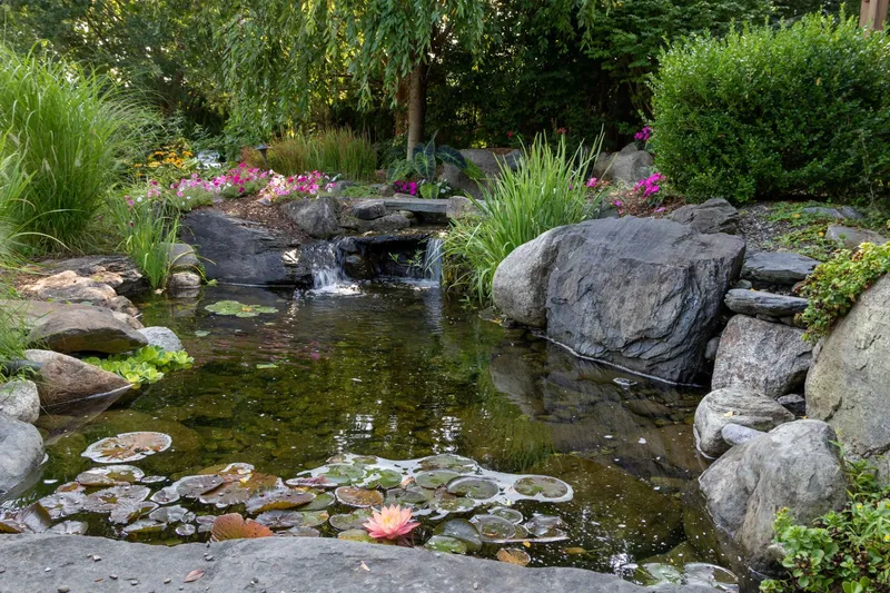 Creating Tranquil Ambiance